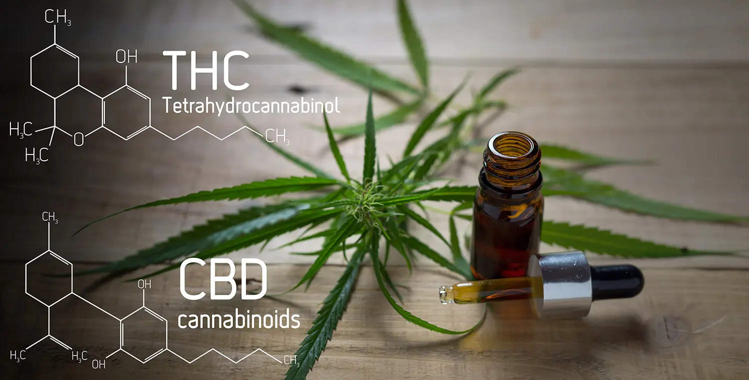 The 10 WORST THC & CBD Myths