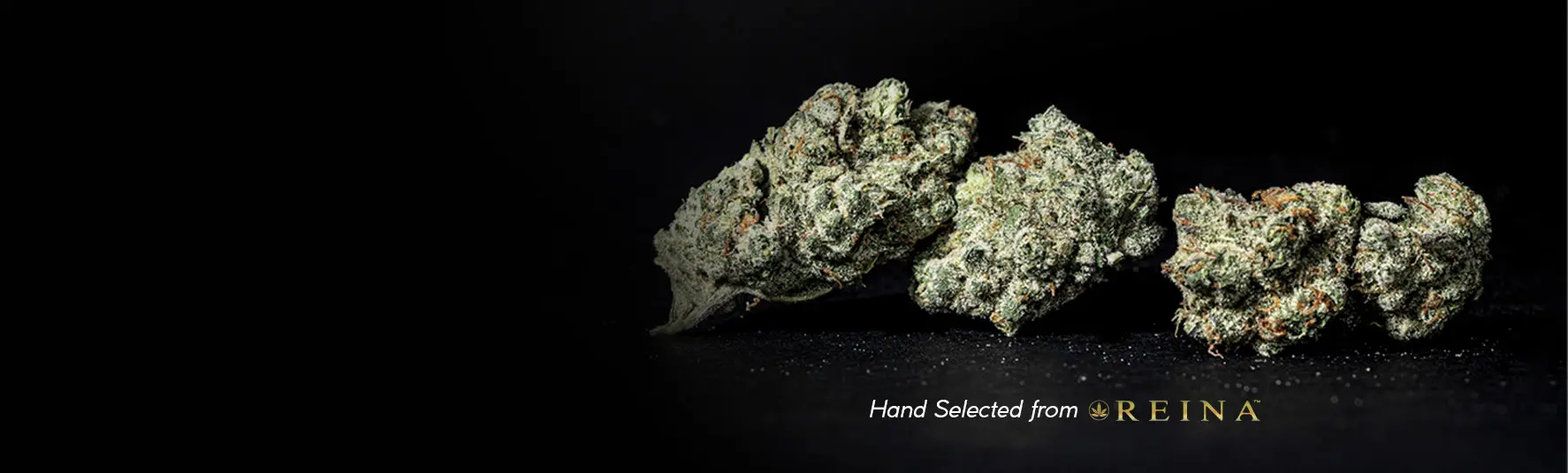 2 NEW DROPS: Garlic Cookies & Green Crack!