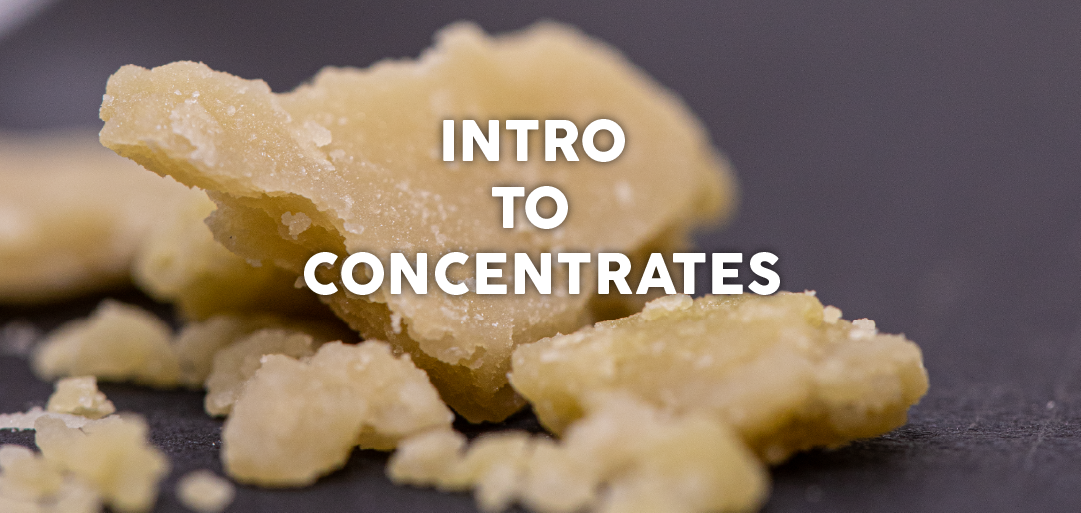 Intro to Concentrates
